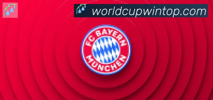 FIFA世界杯买球官方网站合作伙伴